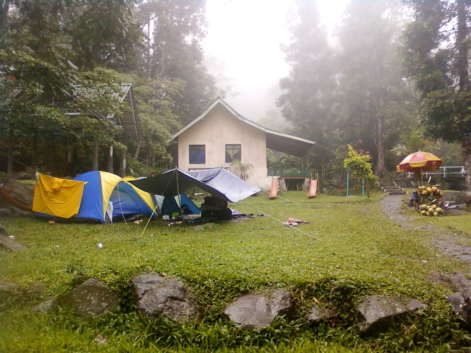 Wisata Pondok Halimun Sukabumi