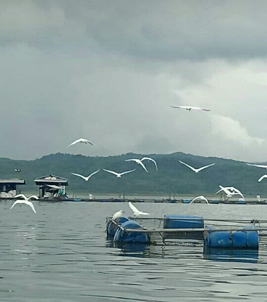 Keindahan Wisata Waduk Gajah Mungkur