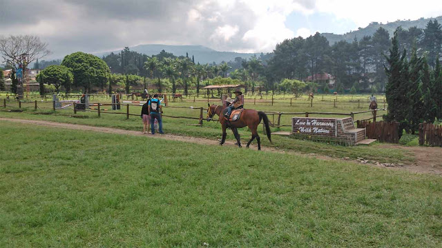 Lokasi Kuntum Farmfield