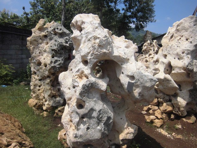 Batu Karang Hiasan Taman dan Outdoor Element
