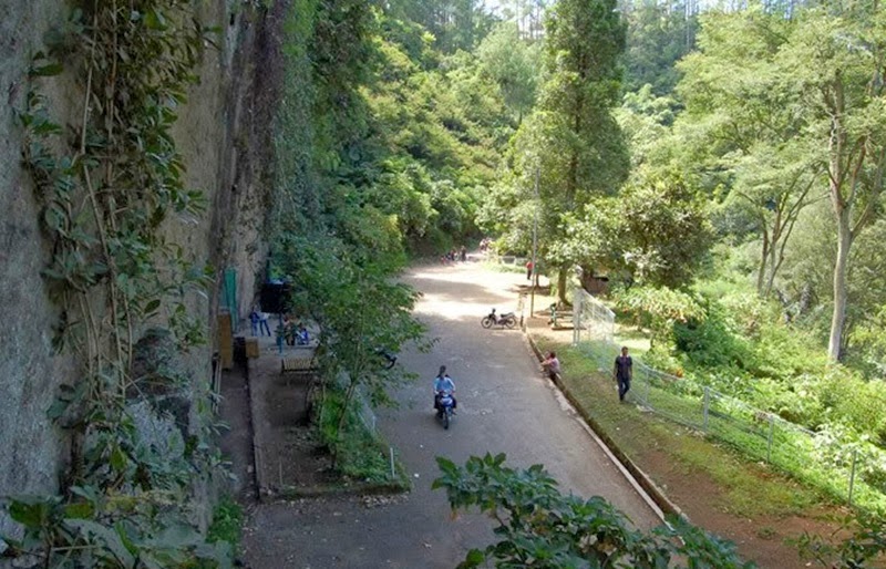 Foto Hutan Raya Dago Pakar