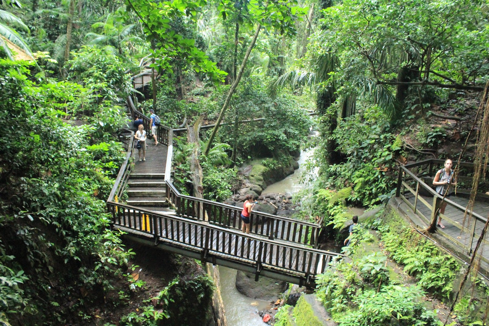 Ubud Monkey Forest