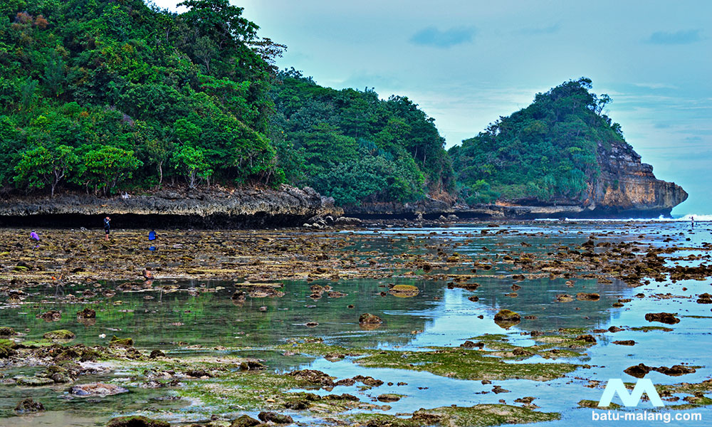 Dinding tebing batu karang Pantai Gatra
