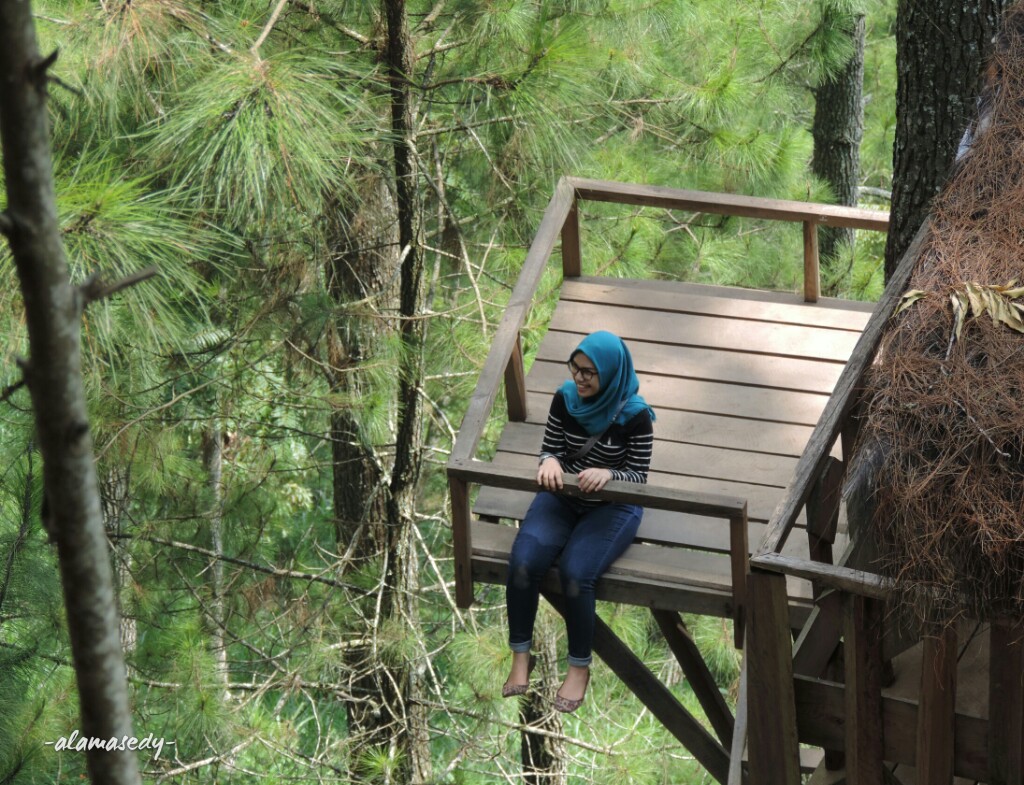 Rumah pohon di Omah Kayu