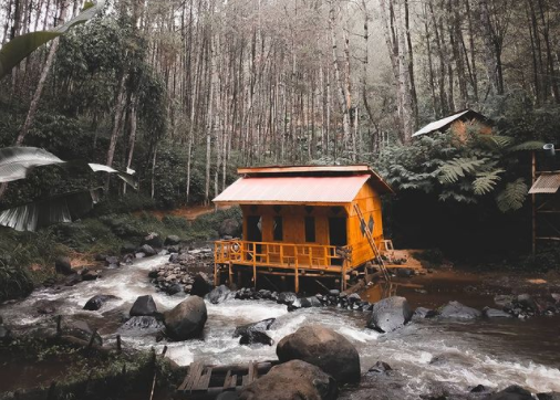 Foto Pesona Wisata Alam Hutan Pinus Di Kampung Singkur Pangalengan