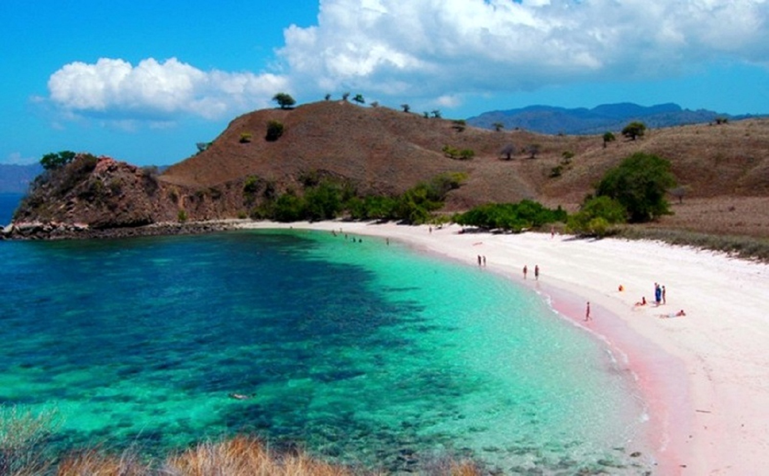 Pantai Pink