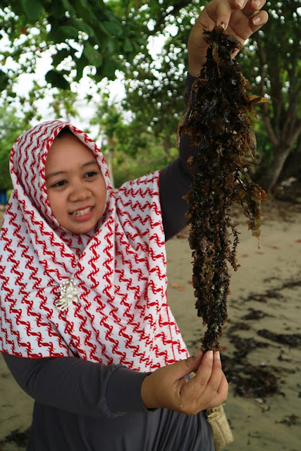 Pantai Tanjung Kasuari, Pesona Alam Pantai Papua yang Khas dan Berbeda