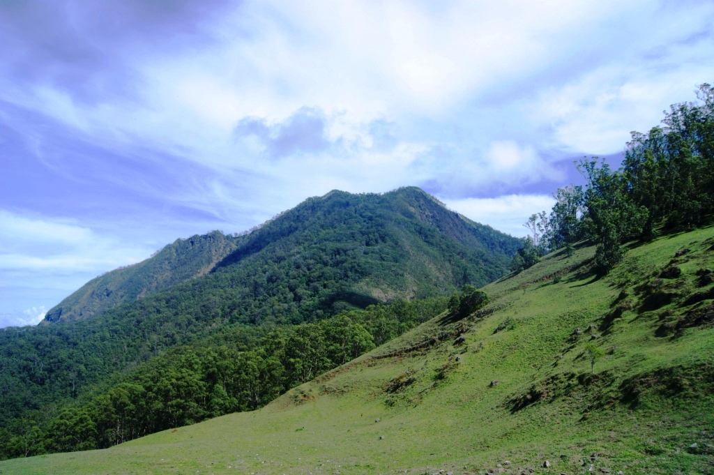 Flora and Fauna di Gunung Mutis