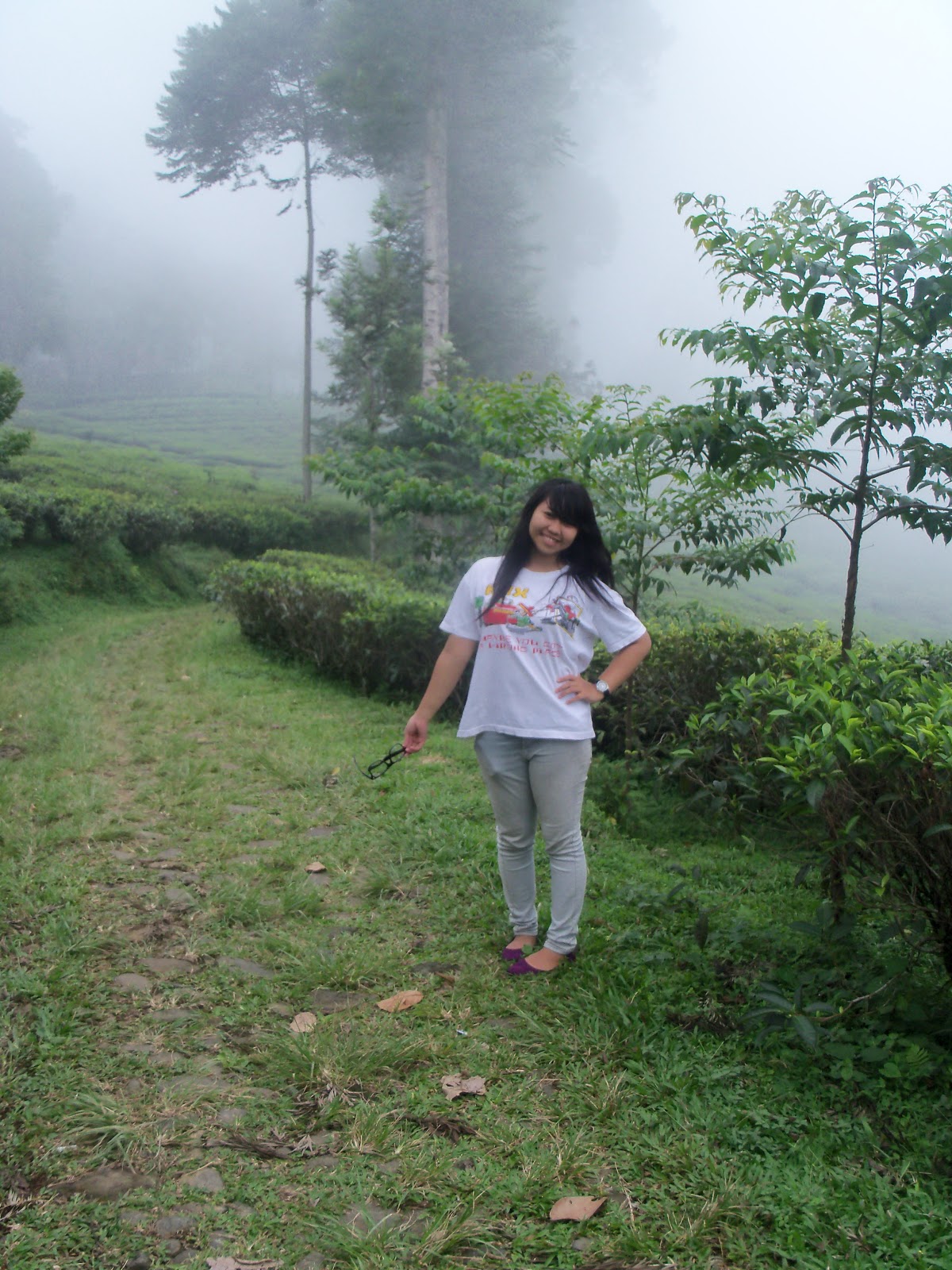 Agro Wisata Pagilaran