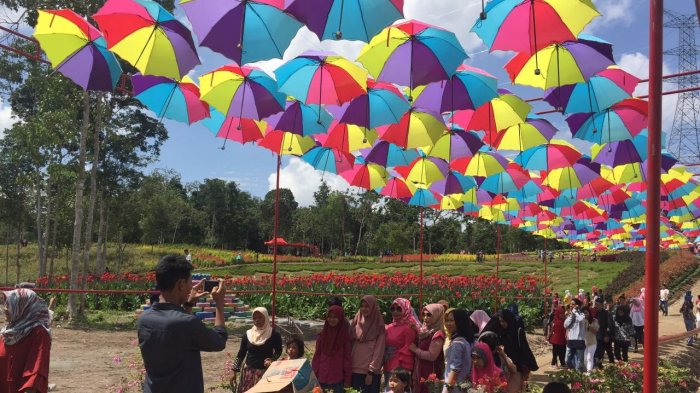 Taman Bunga Indah di Merangin Garden