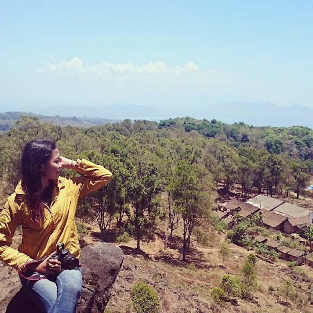 Pemandangan perkebunan kopi Kali Klatak dari atas