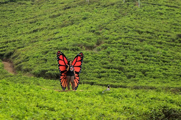 Pemandangan di Lembah Sumilir