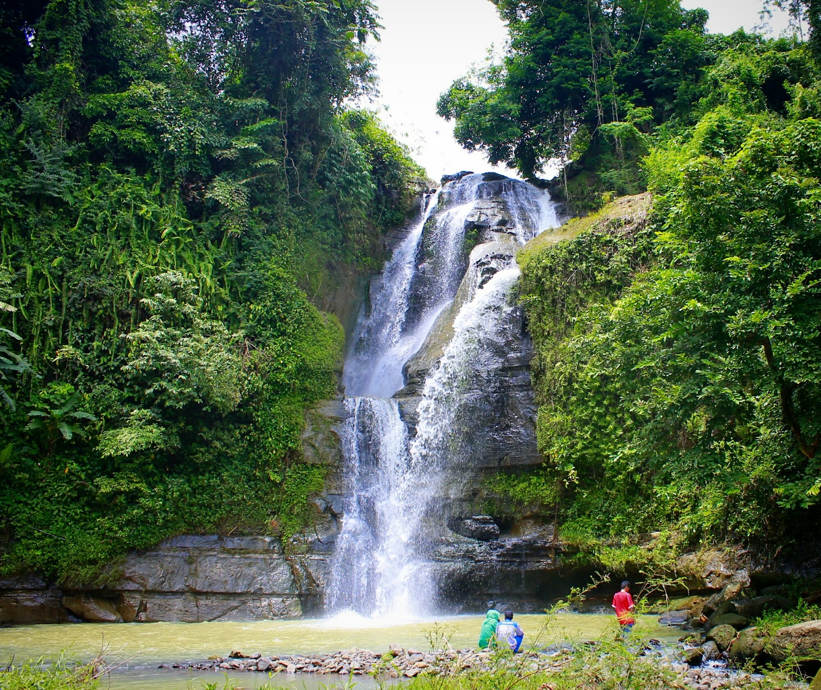 Berpetualang di Hutan