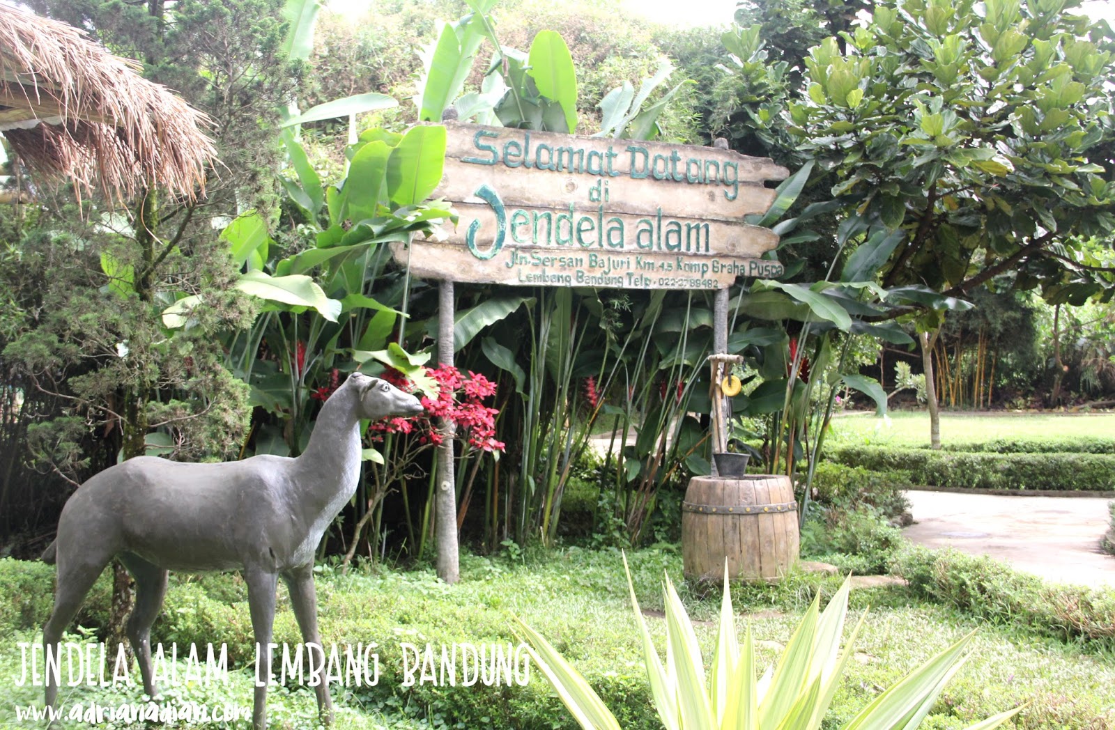 Review Wisata Edukatif Jendela Alam Bandung