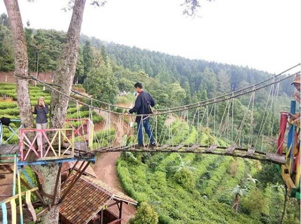 21 Tempat Wisata Di Batang Paling Hits Yang Sering Dikunjungi Wisatawan
