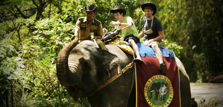 Taman Safari Indonesia Cisarua Bogor|Info Destinasi Wisata