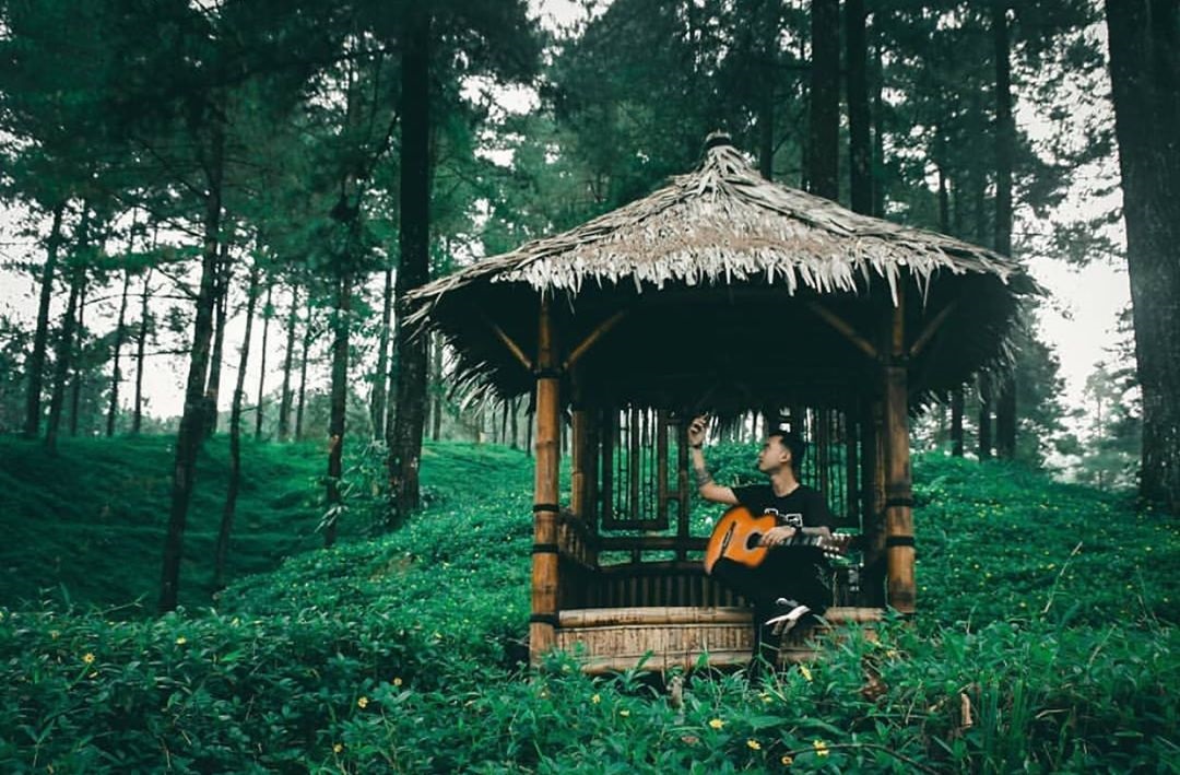 Lokasi Hutan Pinus Limpakuwus