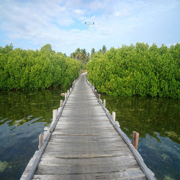 Keindahan Pulau Osi