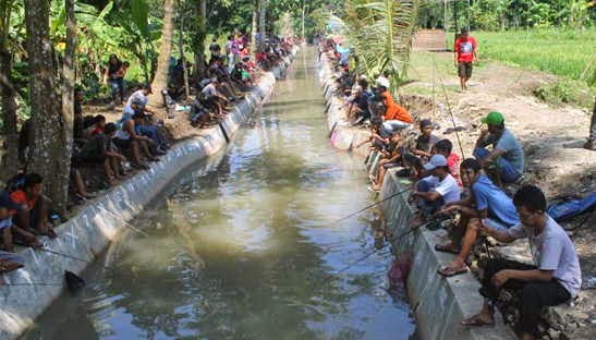 Lomba Mancing Lele