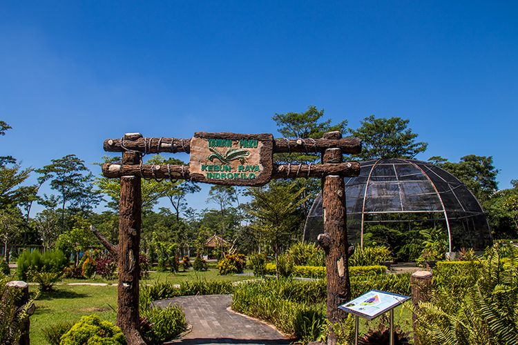 air terjun niagara di kebun raya indrokilo boyolali