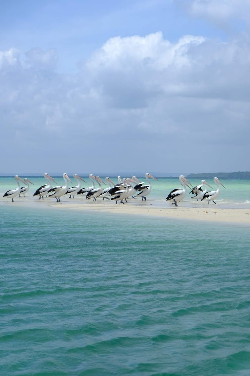 Pantai Ngurtafur
