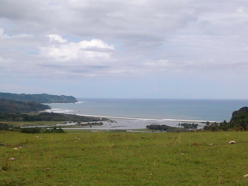 Tumbuhan Belukar