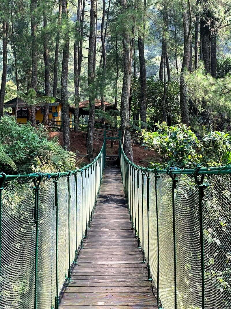 Jembatan Gantung Misterius