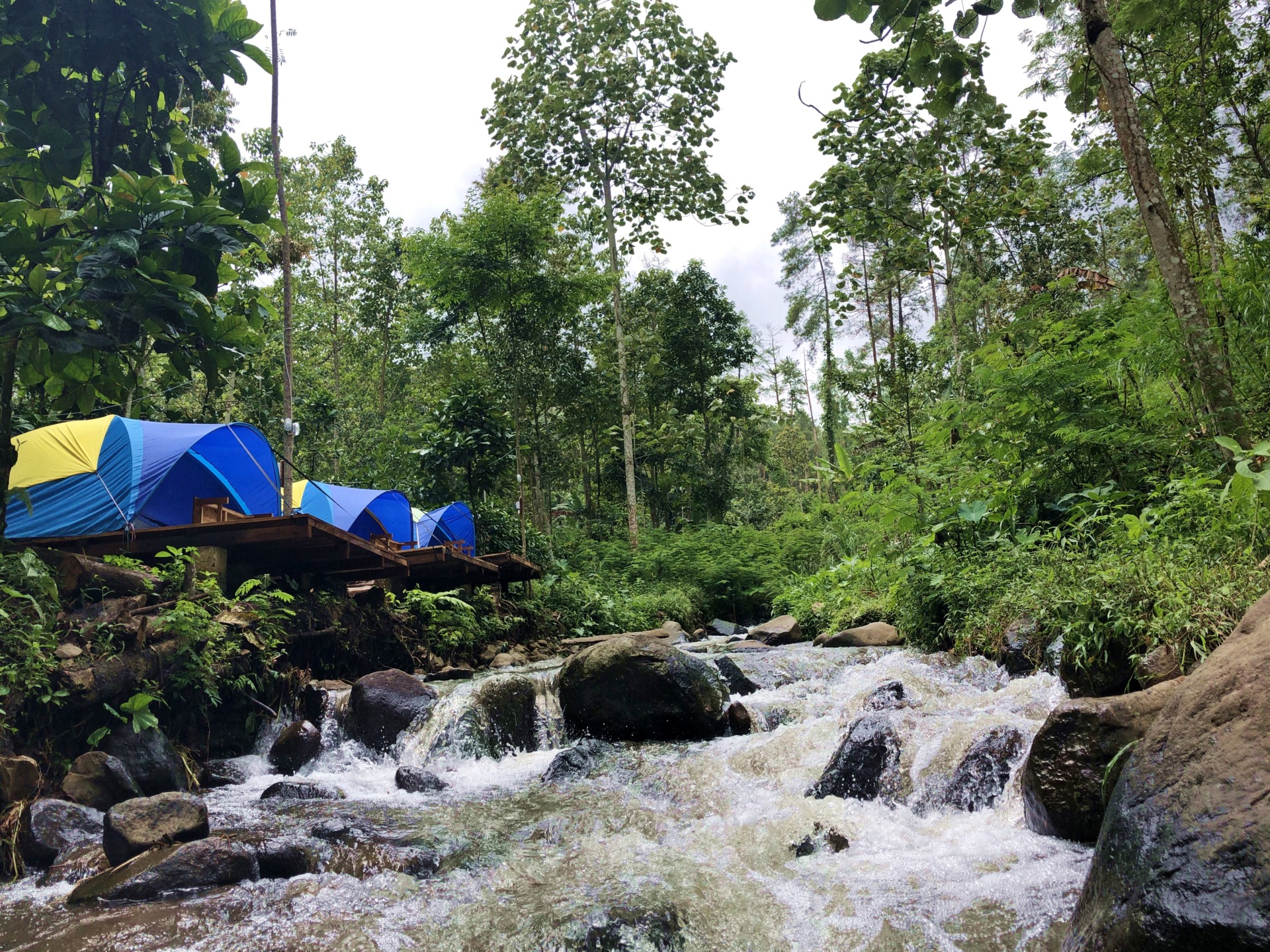 Nicecamp Kebun Pitu