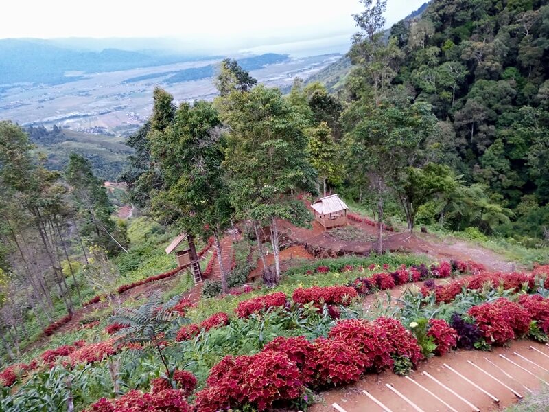 Wisata Bukit Khayangan Kota Sungai Penuh