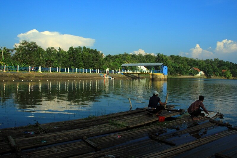 Situ Sedong