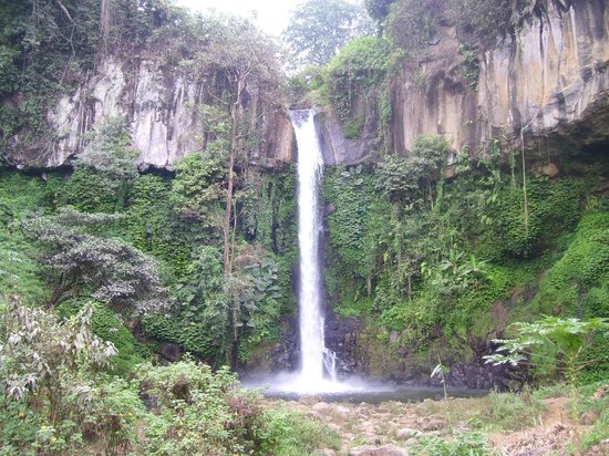 Coban Jahe Waterfall (Malang) - 2020 All You Need to Know BEFORE You Go