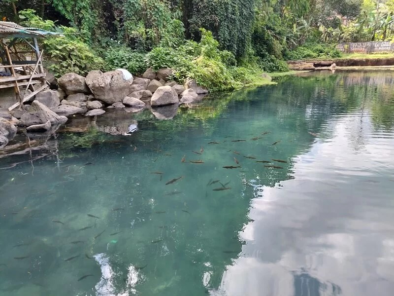 Balong Keramat Darmaloka