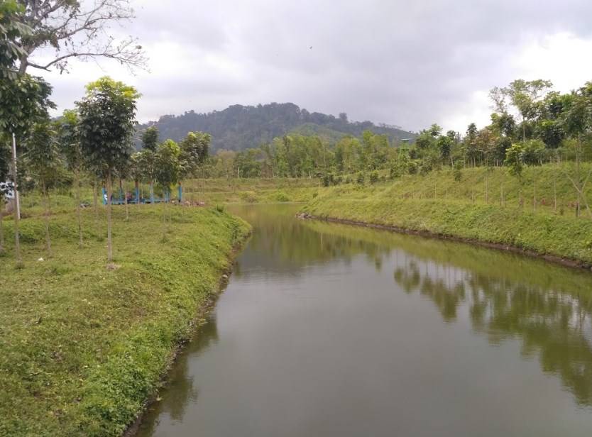 Waduk Sidodadi Glenmore di Banyuwangi