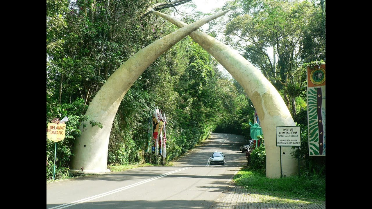 Taman Safari Indonesia - Indonesia Safari Park - Bogor - Indonesia