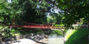 kebun-raya-bogor