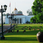 14 Daftar Nama Tempat Wisata Andalan Terbaik di Bogor