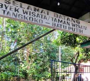 Sulawesi