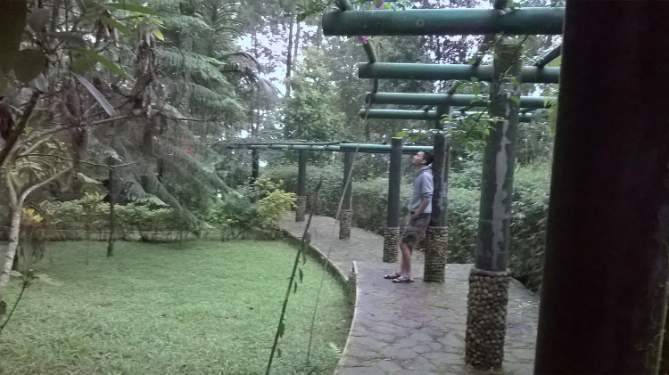 Tahura Karanganyar