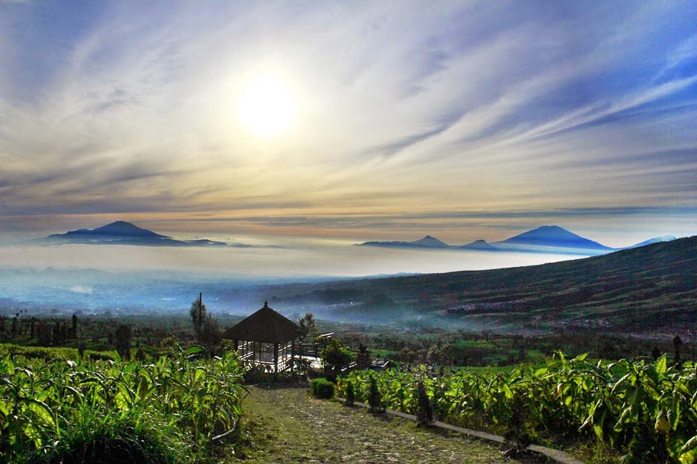 Wisata Posong