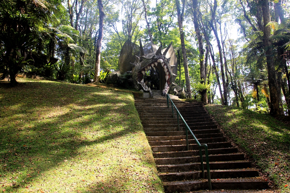 Tanaman di Kebun Raya Bedugul