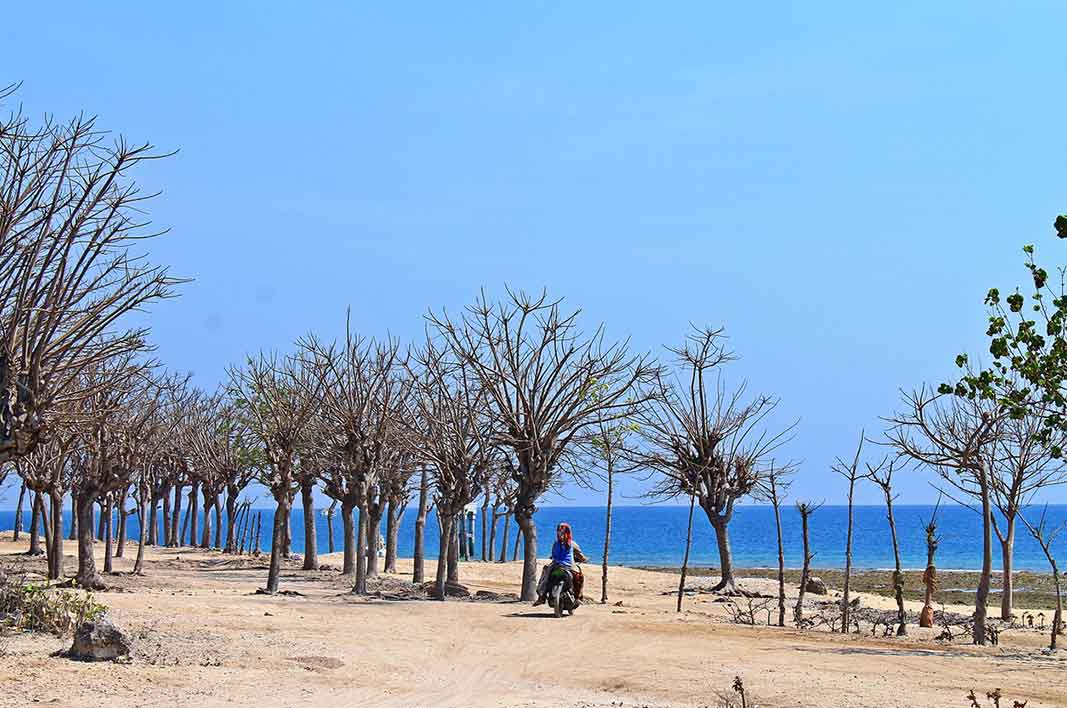 Taman Wisata Semeru