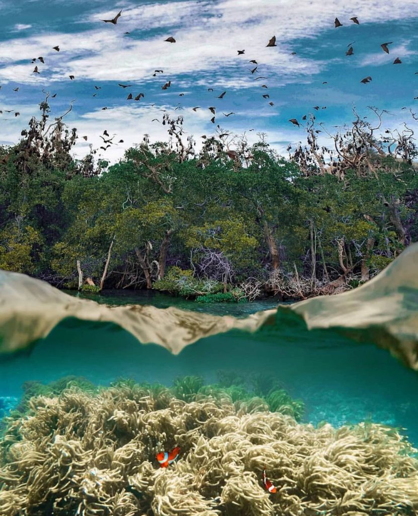 Taman Laut 17 Pulau Riung