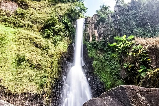 Hutan Kunci