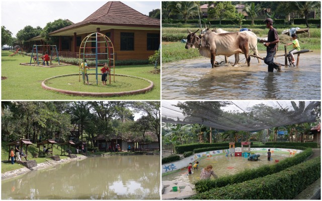kebun wisata pasirmukti