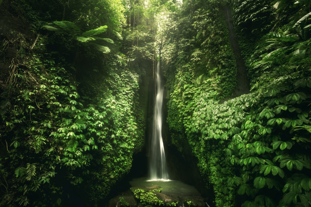 Air Terjun Leke