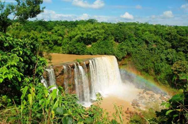 Kayu-kayuan di Curug Awang
