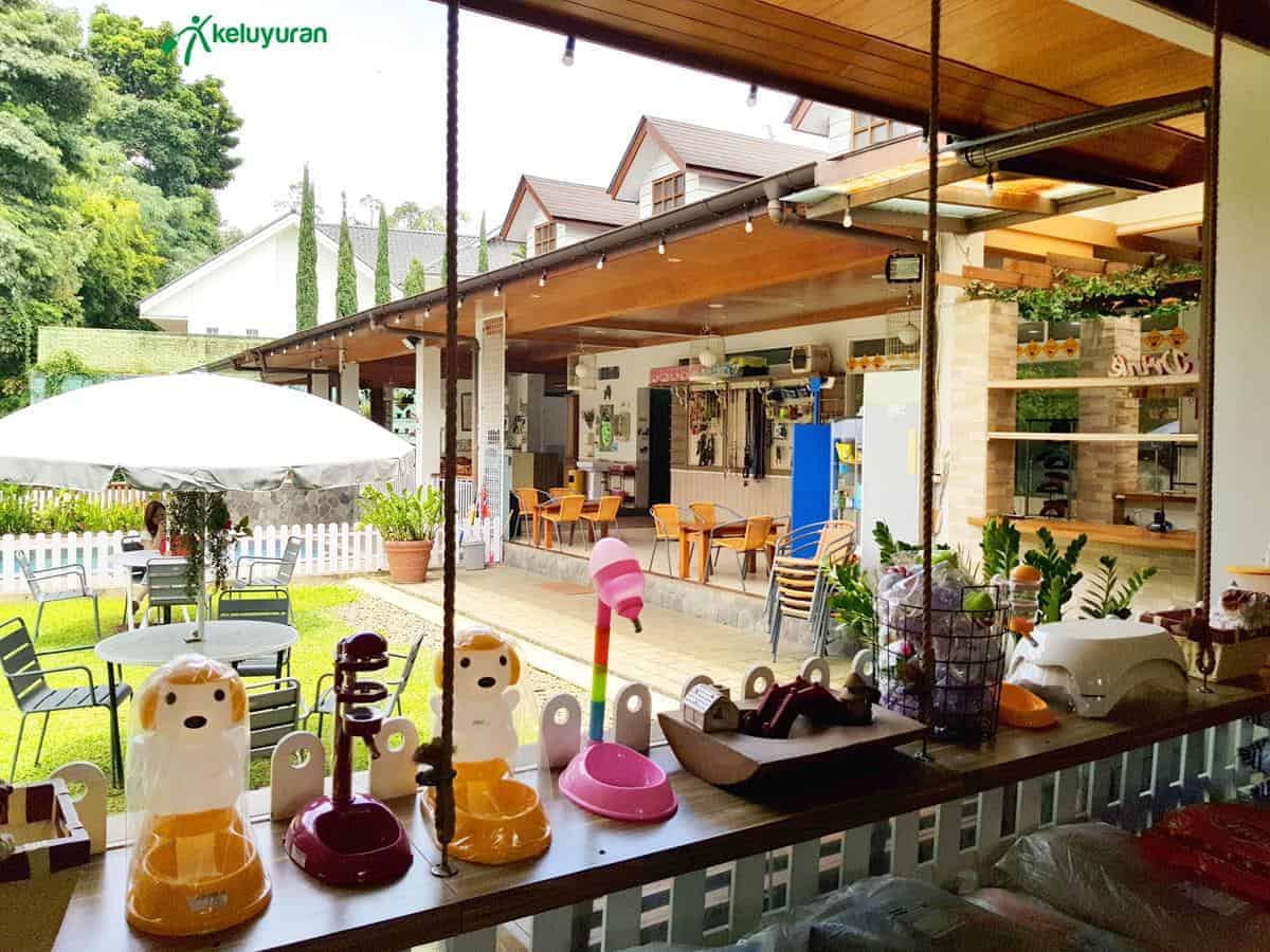 Rumah Guguk, Destinasi Wisata untuk Para Pencinta Anjing