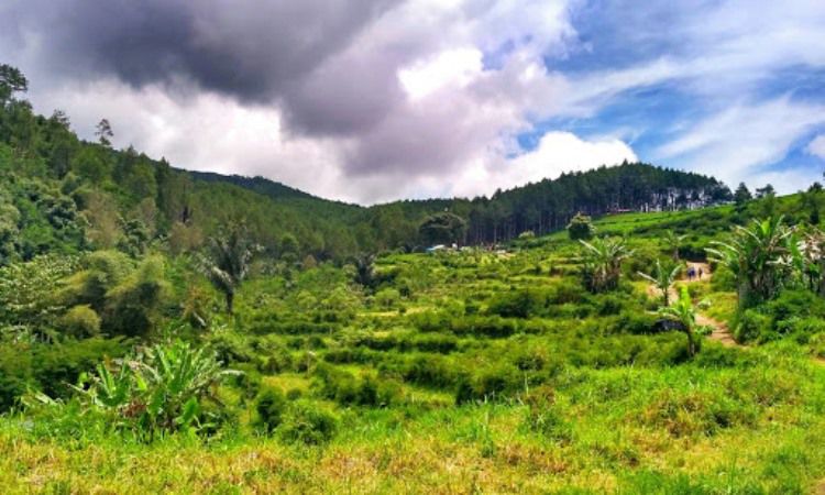 gambar Karacak Valley