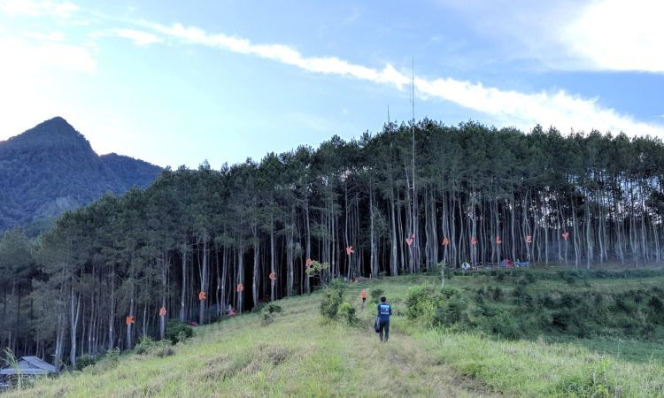 gambar Karacak Valley