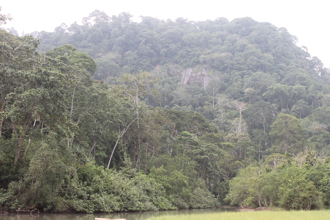 Hutan Lindung Meru Betiri